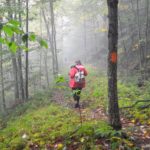 Hiker in forest