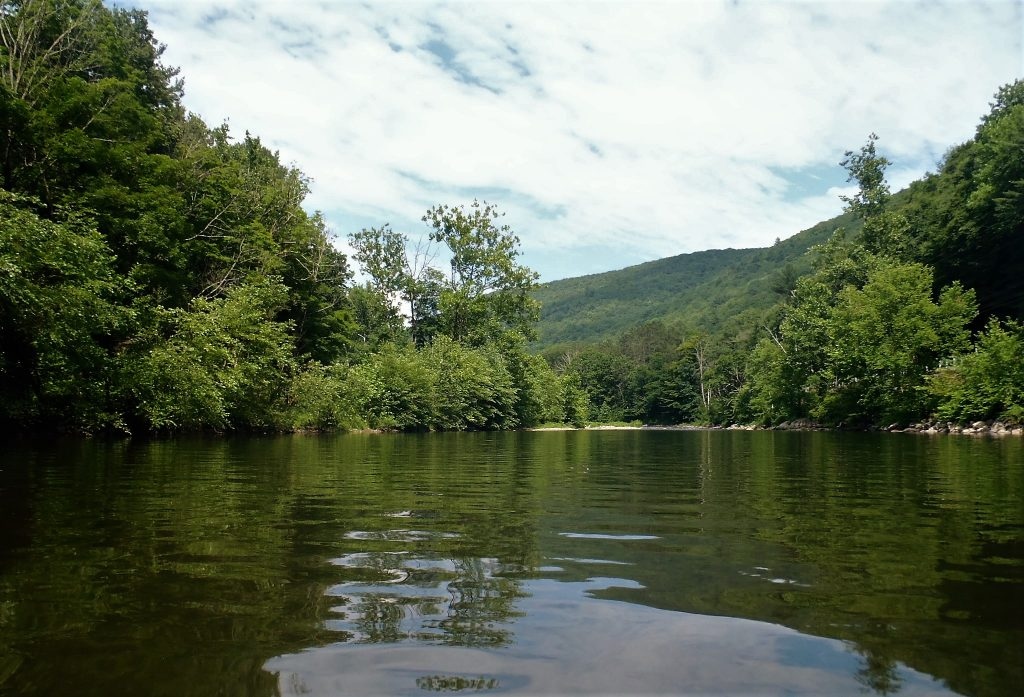 Loyalsock creek