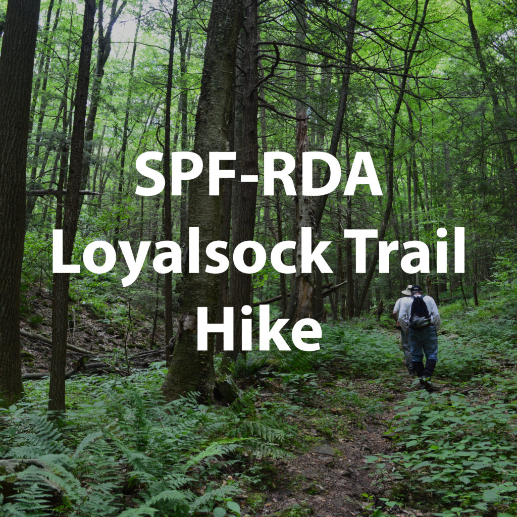 SPF-RDA Loyalsock Trail Hike